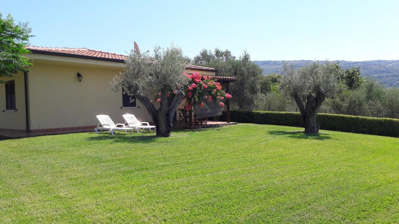 Villa Mimosa Tropea Ricadi Exteriör bild