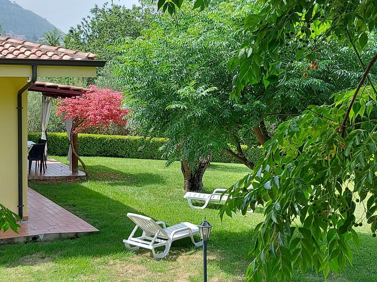 Villa Mimosa Tropea Ricadi Exteriör bild