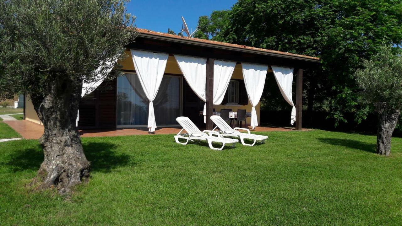 Villa Mimosa Tropea Ricadi Exteriör bild
