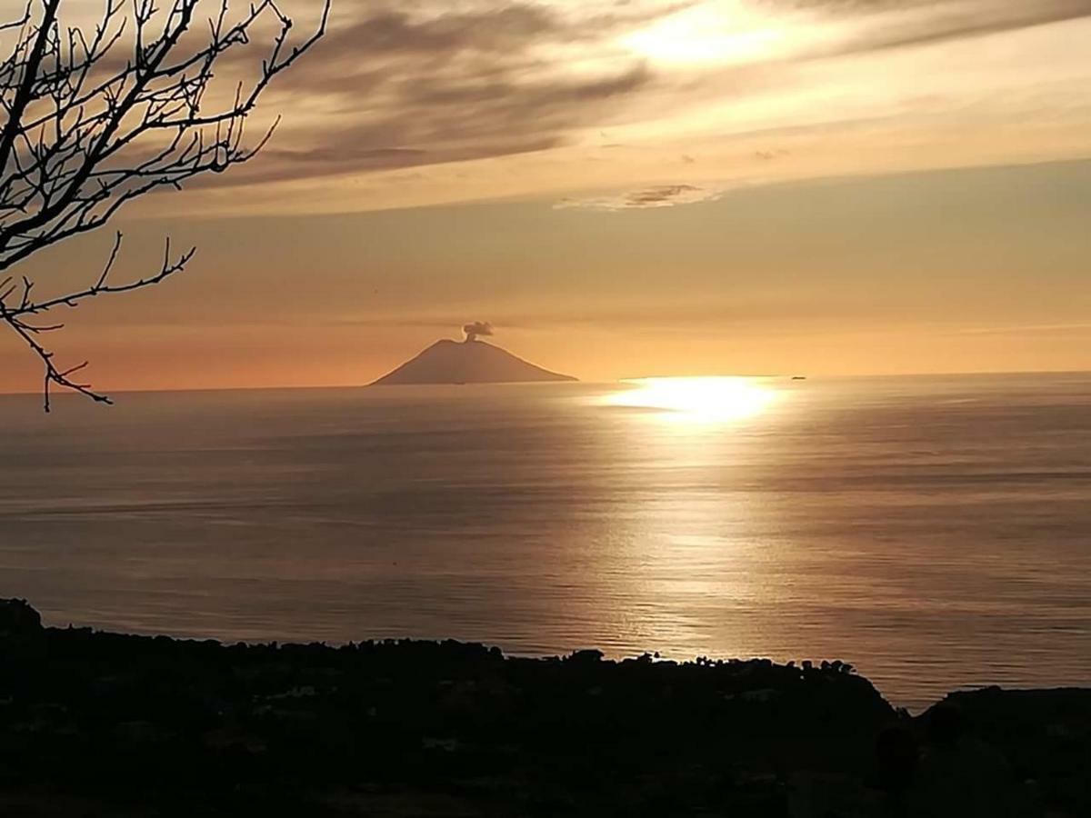 Villa Mimosa Tropea Ricadi Exteriör bild
